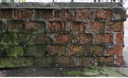 Photo Textures of Wall Brick